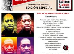 boletin-edicion-especial