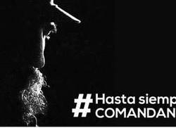 convocatoria-al-tuitazo-fidel-y-la-solidaridad-entre-los-pueblos