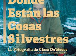 donde-estan-las-cosas-silvestres