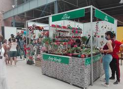 gran-acogida-en-la-habana-la-feria-nacional-de-artesania