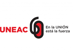 pronunciamiento-de-la-asociacion-de-artistas-de-la-plastica-de-la-uneac-sobre-la-14-bienal-de-la-habana