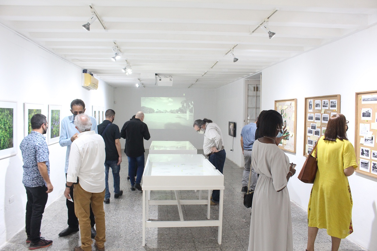 Inauguración decimocuarta edición de la Bienal de La Habana 