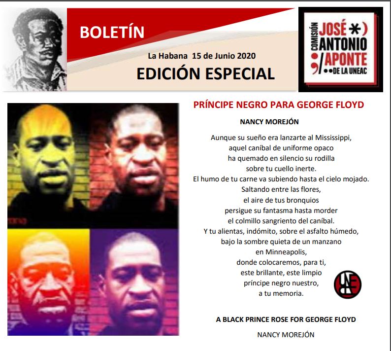 boletin-edicion-especial