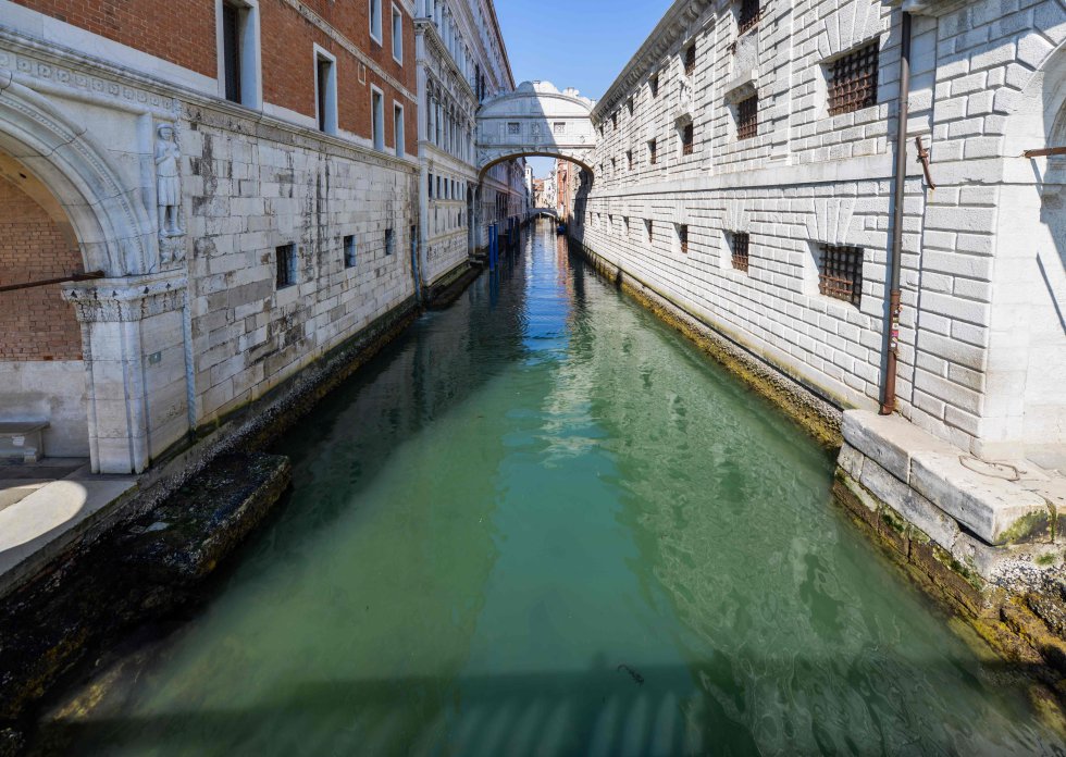 peces-en-los-canales