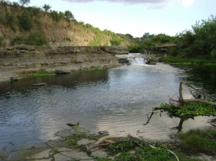 por-un-mundo-biodiverso-convirtamonos-en-agentes-de-cambio