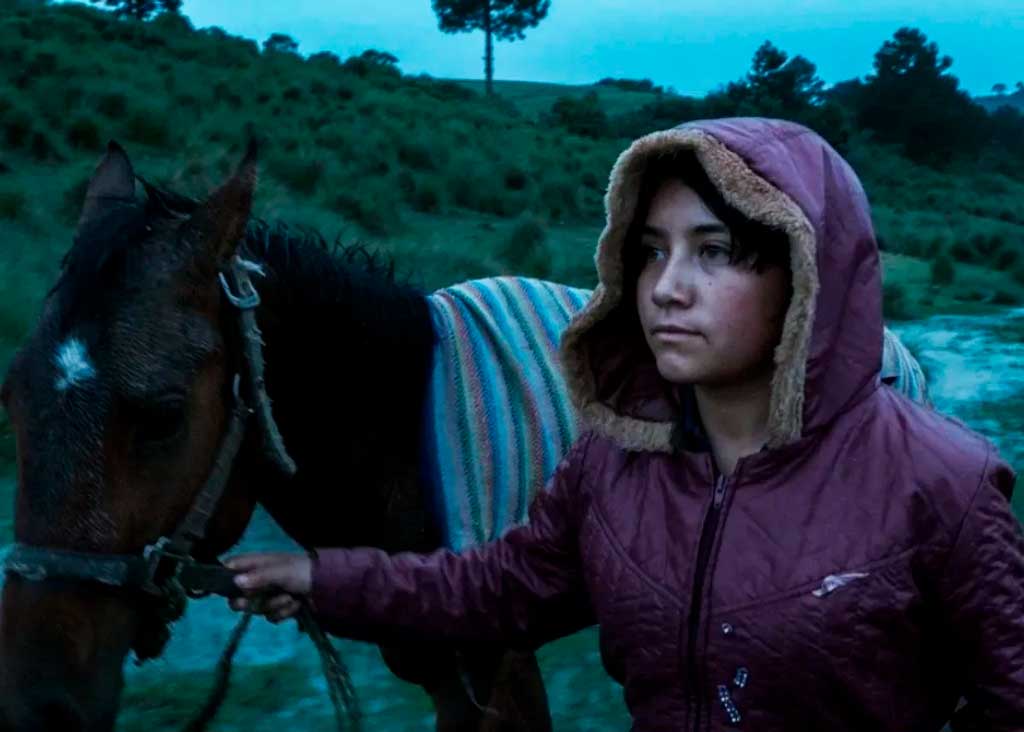 acompanado-de-premios-concursa-en-la-habana-filme-mexicano-el-eco