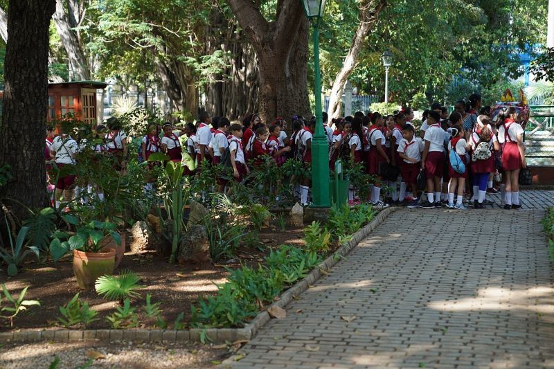 vuelven-los-recorridos-al-pulmon-verde-de-la-habana