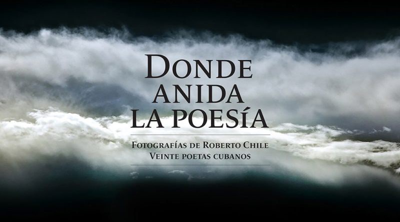 donde-anida-la-poesia-extraordinario-proyecto-de-roberto-chile