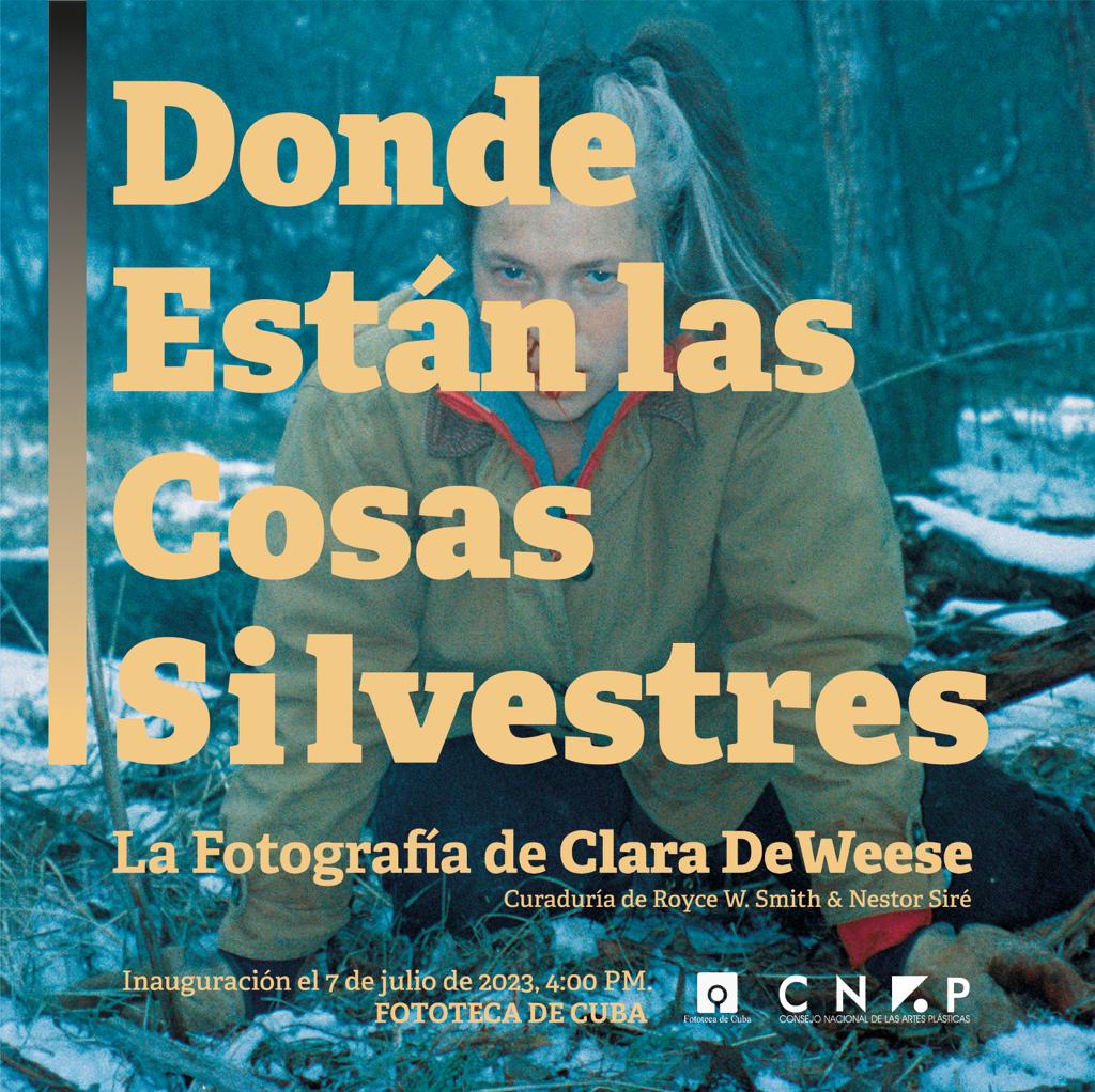 donde-estan-las-cosas-silvestres