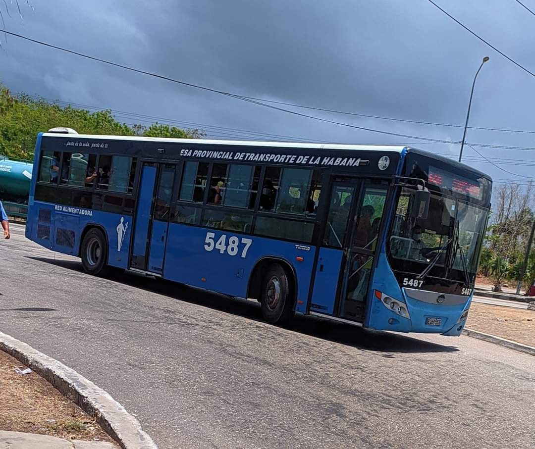 explorando-la-ciudad-en-guagua