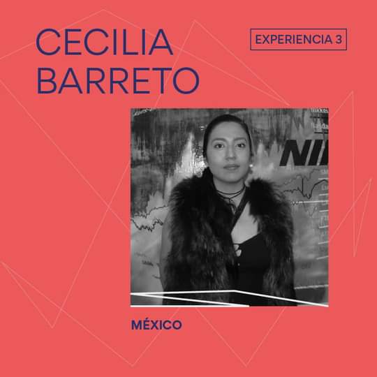 la-mineria-y-sus-males-en-la-obra-de-cecilia-barreto-declaraciones-de-la-artista-mexicana