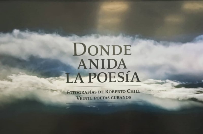 la-poesia-anida-en-el-alma