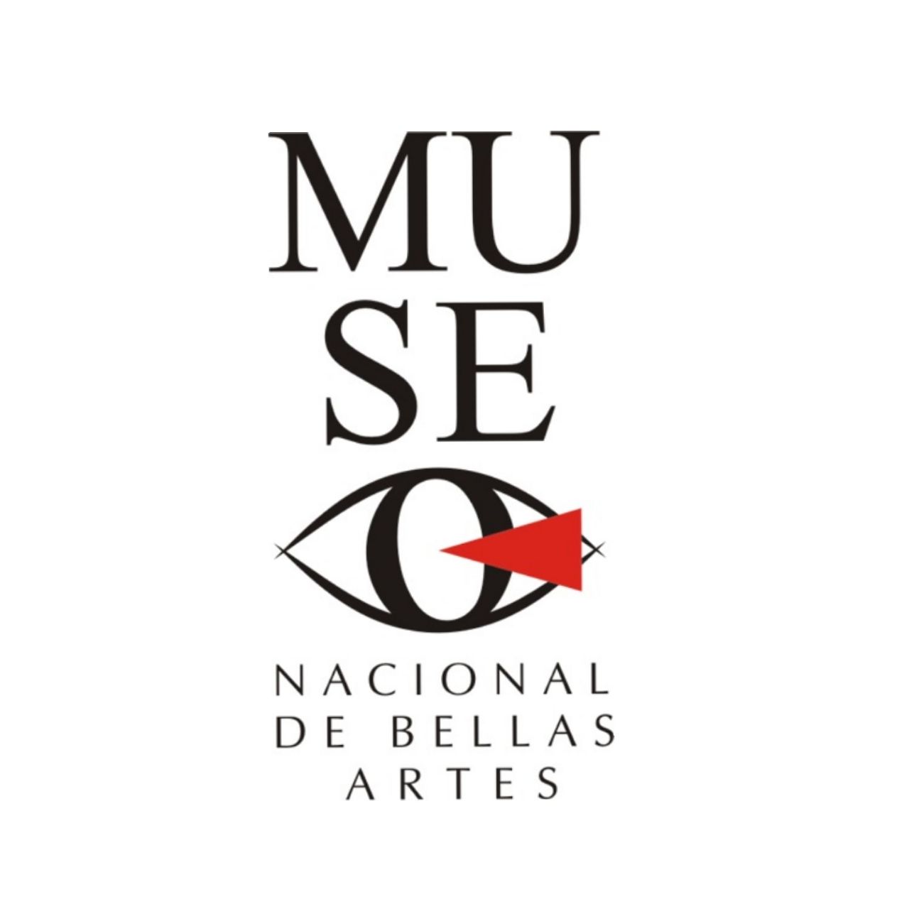 nota-del-museo-nacional-de-bellas-artes