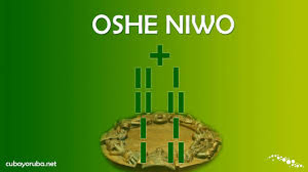 oshe-niwo