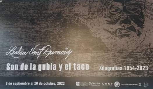 son-de-la-gubia-y-el-taco-nueva-exposicion-en-galeria-habana-como-homenaje-a-la-obra-de-lesbia-vent-dumois